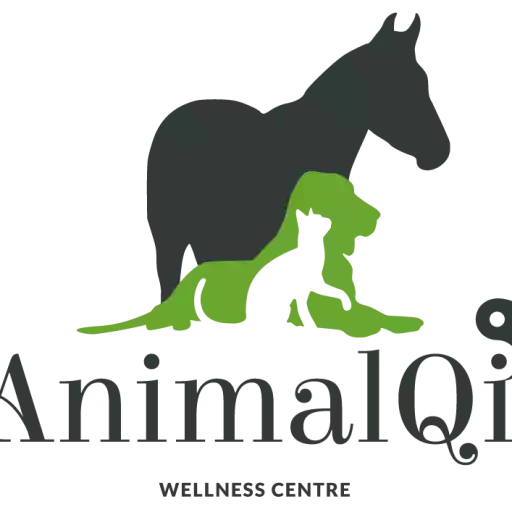 Animal QI Wellness Centre