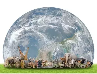 aqi-earth-feeds-others--post2-img3
