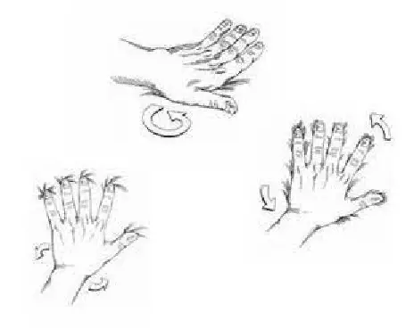 images-4