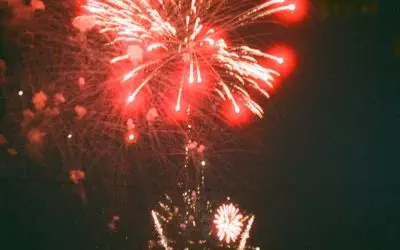 How to Keep Your Pet Calm and Safe During Festive Fireworks
