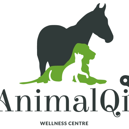 Animal QI Wellness Centre